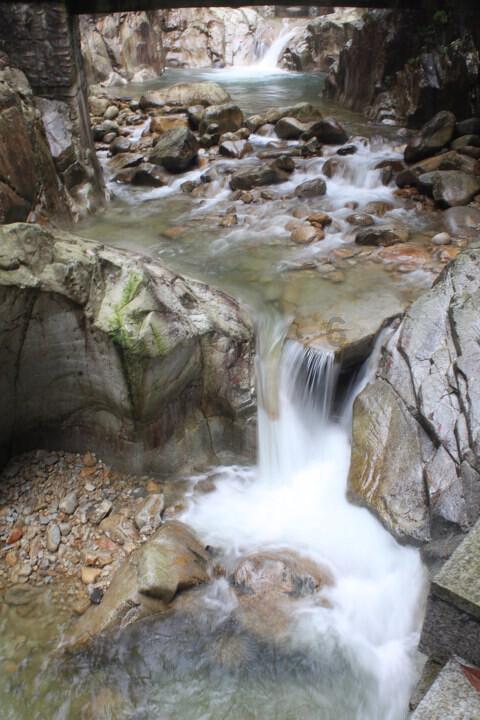 沪江开心词场